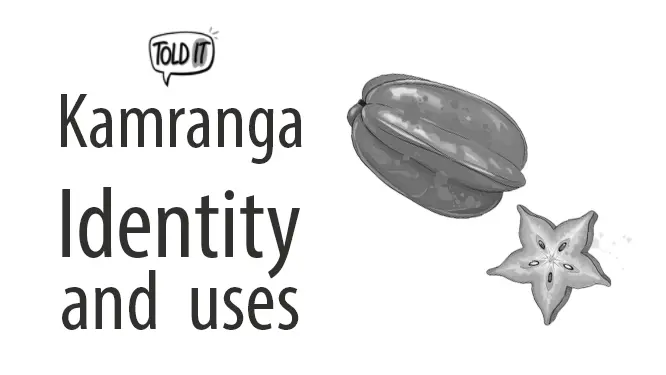Kamranga Tree (Star Fruit) Identity and Uses Explained